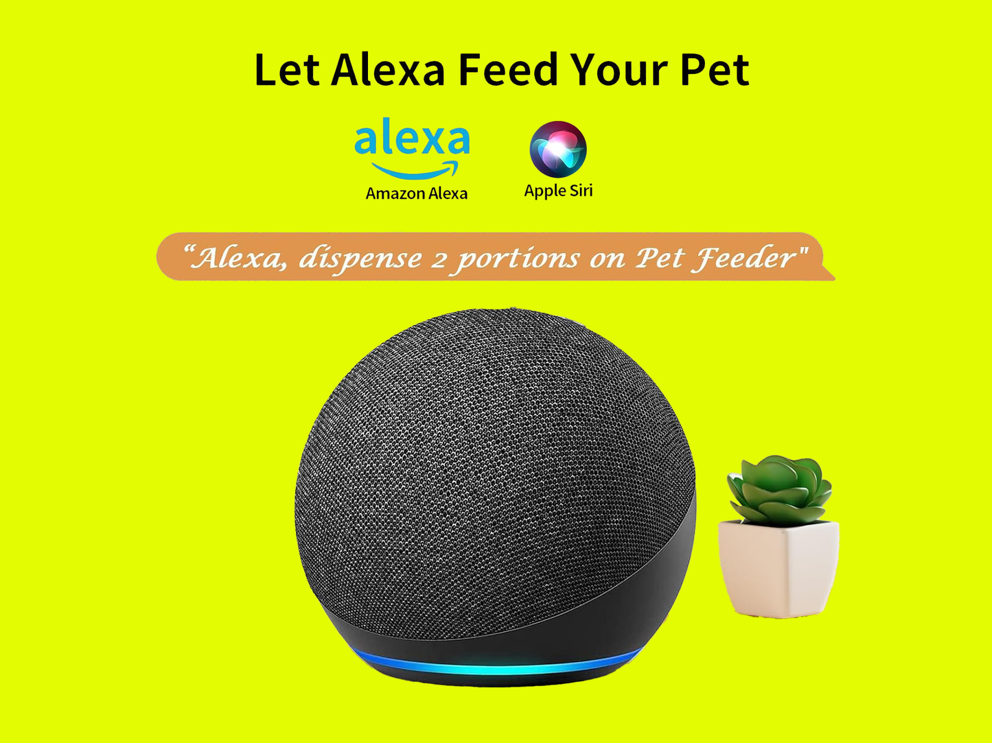 Automatic Pet Feeder